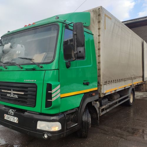 Автомобиль MAZ 4371W1 432-000, 2017 года выпуска, находящийся по адресу: г. Гомель, ул.Могилевская,1а.